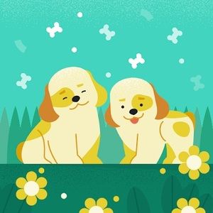 Meet your Posher, Layla